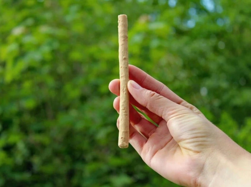 MISWAK PATYK DO MYCIA ZĘBÓW NATURALNA SZCZOTECZKA DO ZĘBÓW 18 SM - obrazek 3