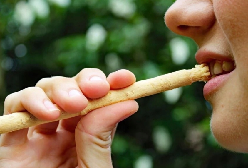 MISWAK PATYK DO MYCIA ZĘBÓW NATURALNA SZCZOTECZKA DO ZĘBÓW 18 SM - obrazek 4